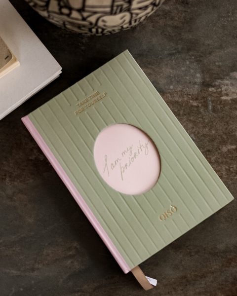 Планер QISOxYou Matcha (СІКРЕТ ПЕРЕДПРОДАЖ)